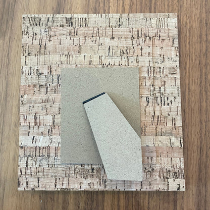 Cork Frame Pin Display