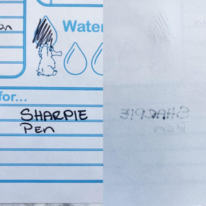 Noodle Daily Notepad