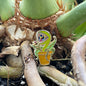 Man Eater Plant Enamel Pin